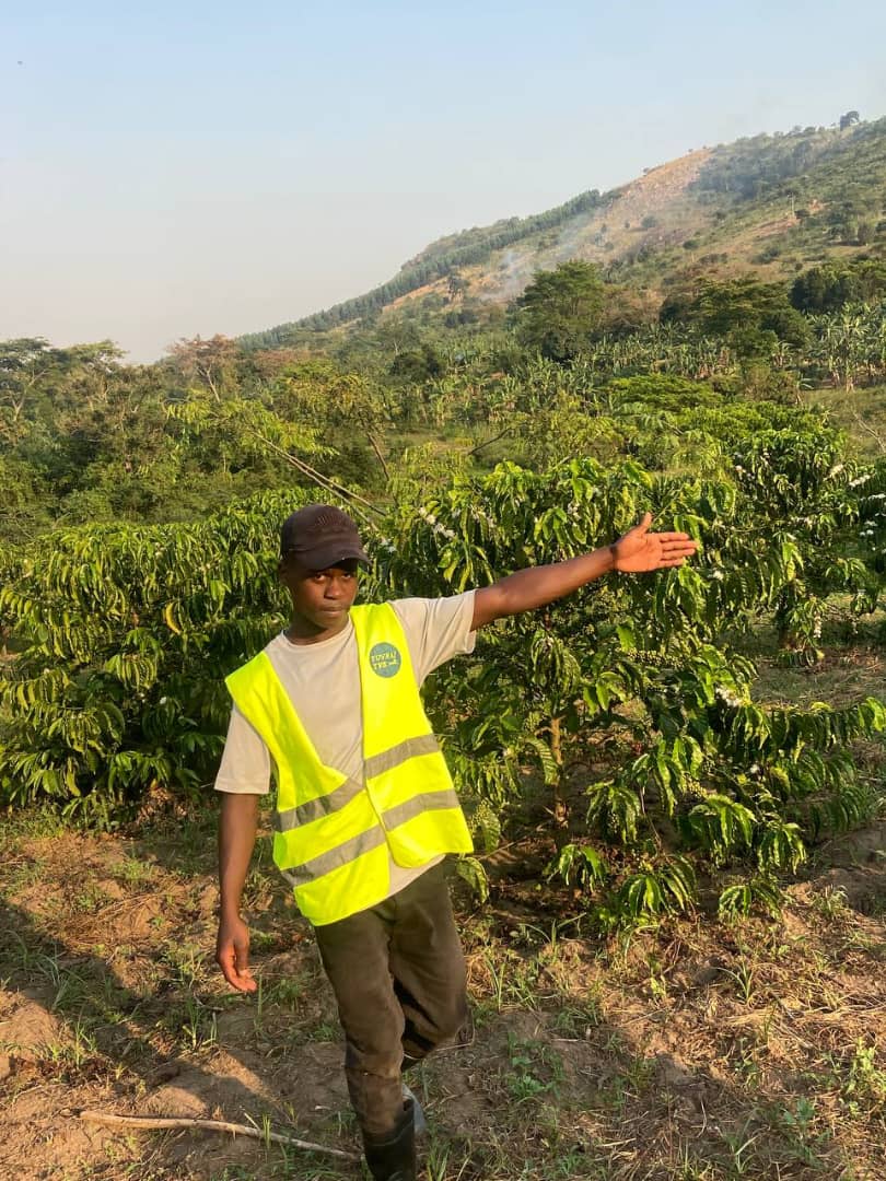 Kasujja Investments - project